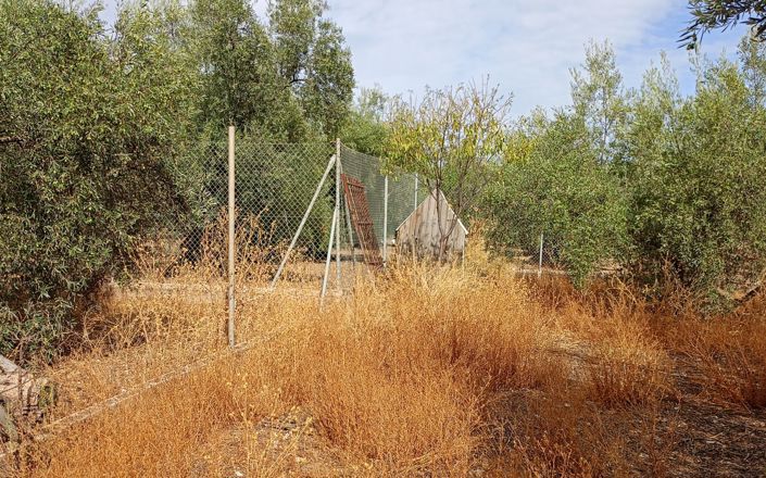 Image No.17-3 Bed House for sale