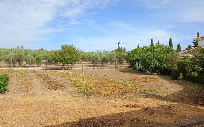 Image No.20-3 Bed House for sale