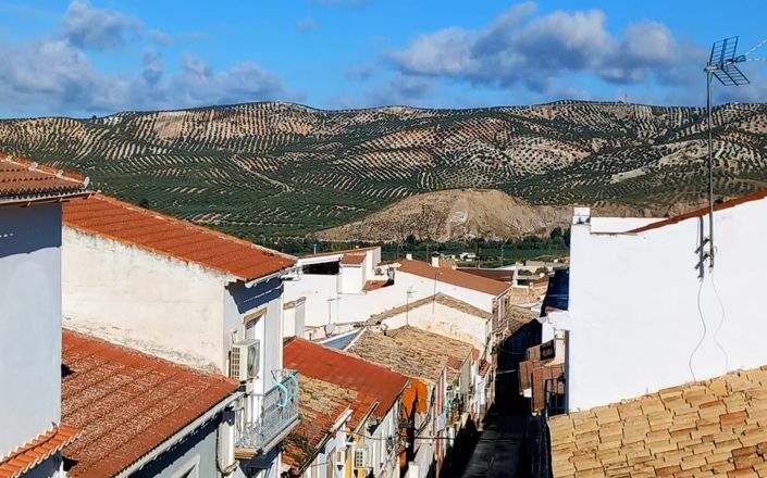 Image No.1-3 Bed House for sale