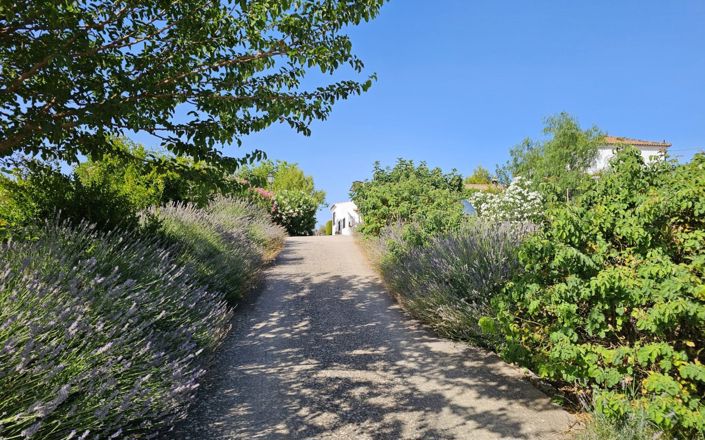 Image No.3-4 Bed House for sale