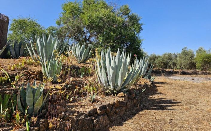 Image No.32-4 Bed House for sale