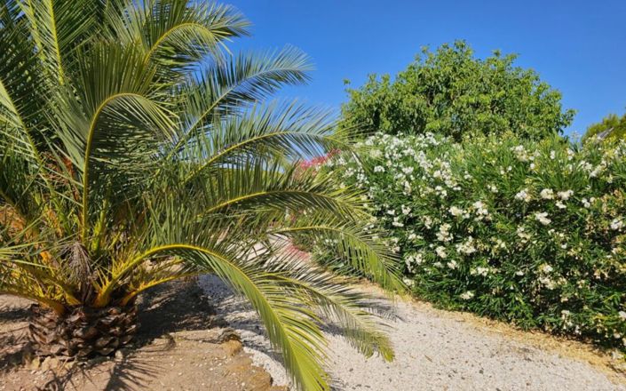 Image No.33-4 Bed House for sale