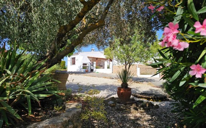 Image No.34-4 Bed House for sale