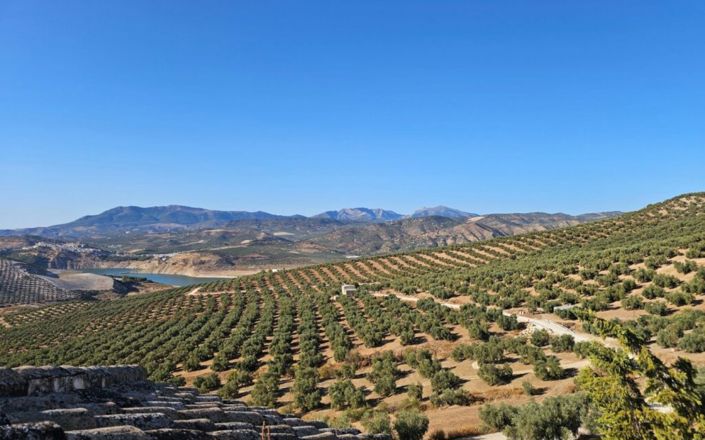 Image No.12-5 Bed House for sale