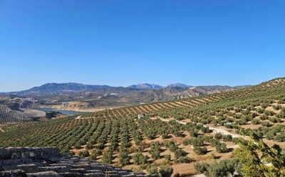 20250901_183245-1024x768