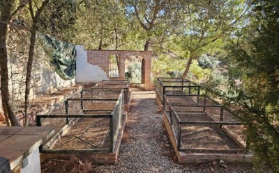 20250901_184556-1024x768