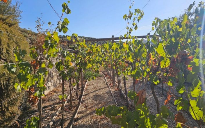 Image No.14-5 Bed House for sale