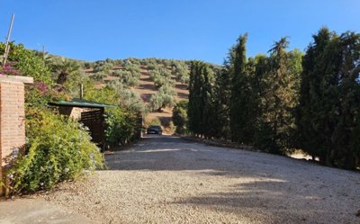 20250901_184245-1024x768