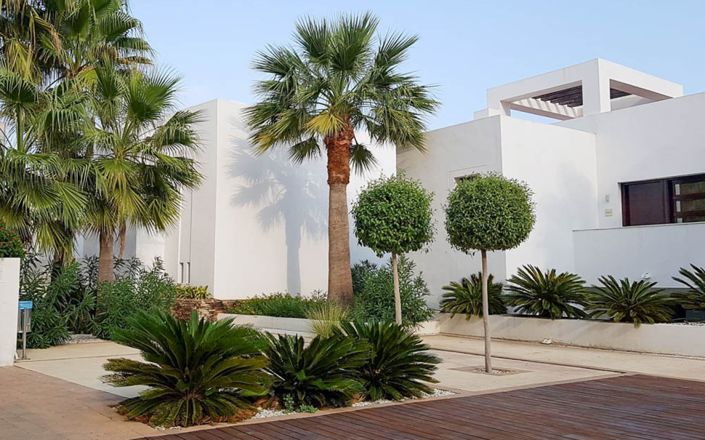 Image No.45-3 Bed House for sale