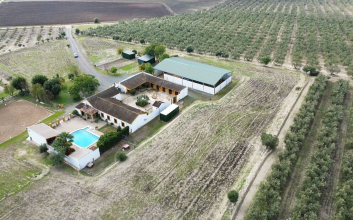 Image No.35-4 Bed House for sale