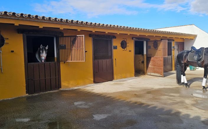 Image No.6-4 Bed House for sale