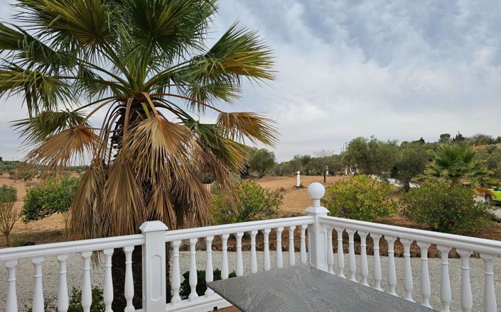 Image No.12-3 Bed House for sale