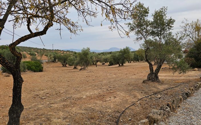 Image No.3-3 Bed House for sale