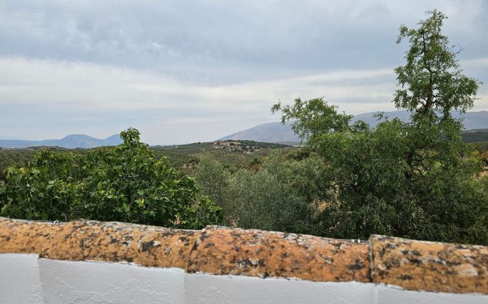 Image No.31-3 Bed House for sale