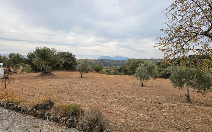 Image No.4-3 Bed House for sale