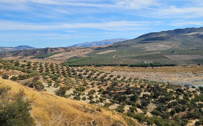 Image No.35-Maison de 5 chambres à vendre à Iznájar