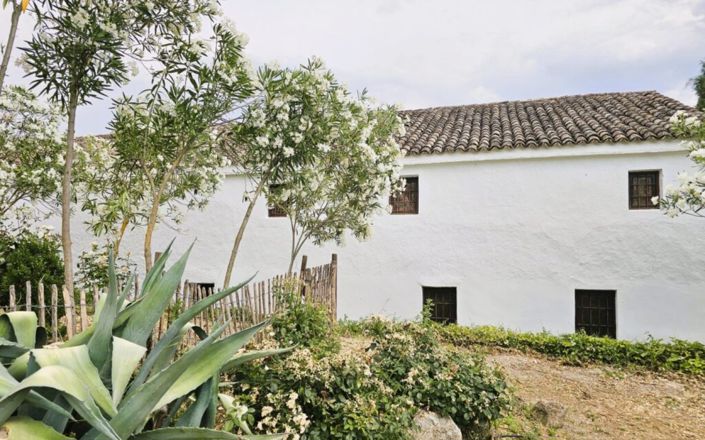 Image No.6-Maison de 4 chambres à vendre à Iznájar