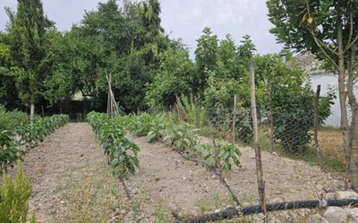 20250630_175458-copy-1024x768