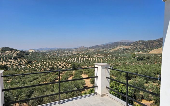 Image No.29-3 Bed House for sale