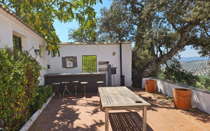 Image No.32-3 Bed House for sale