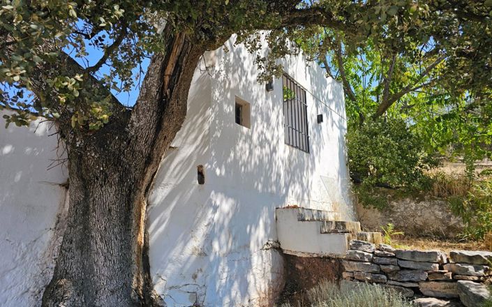 Image No.34-3 Bed House for sale