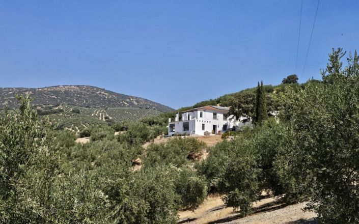 Image No.37-3 Bed House for sale