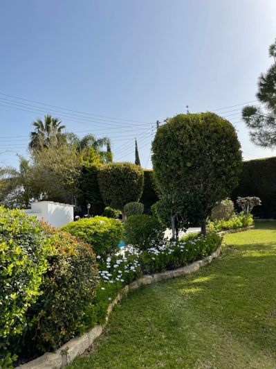 Image No.23-Maison de 3 chambres à vendre à Neon Chorion