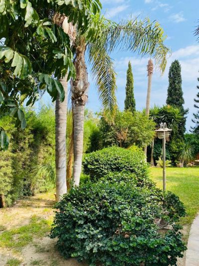 Image No.19-5 Bed House for sale