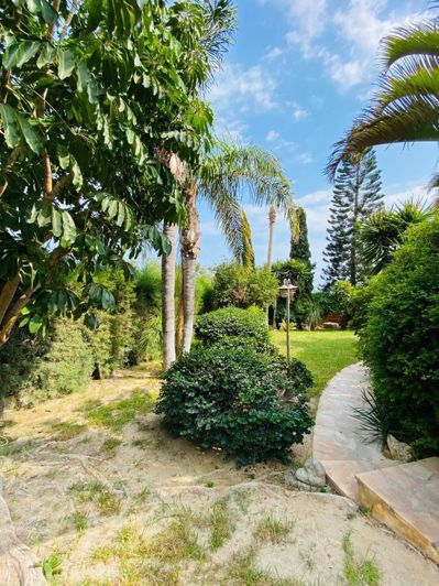 Image No.20-5 Bed House for sale