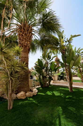 Image No.15-Villa de 6 chambres à vendre à Universal