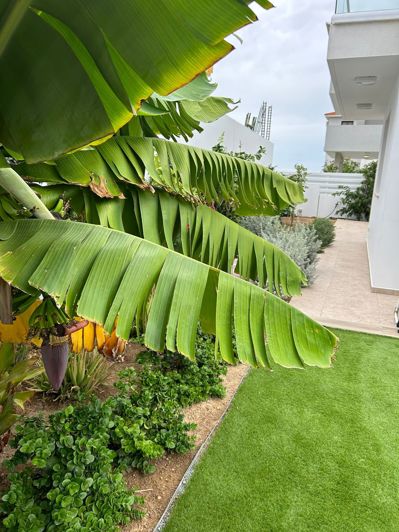 Image No.21-4 Bed House for sale