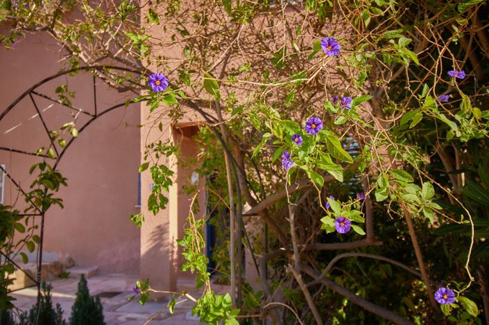 Image No.13-Maison de 3 chambres à vendre à Kato Paphos