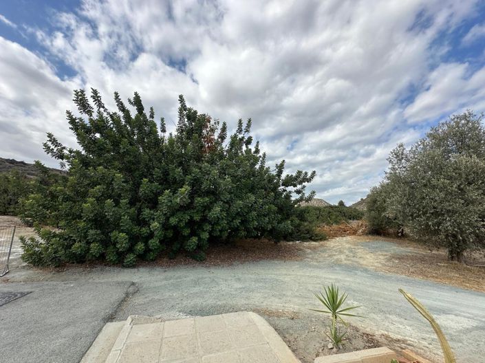 Image No.3-Land for sale