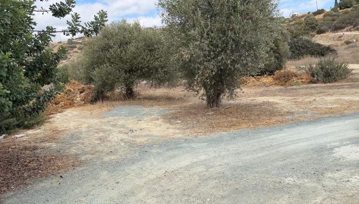 Image No.4-Land for sale