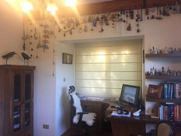 9005cc54-b546-45ce-a3c1-1107959e2c66