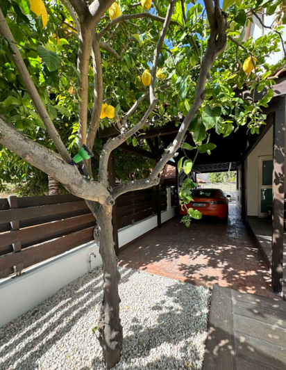 Image No.3-5 Bed Villa for sale