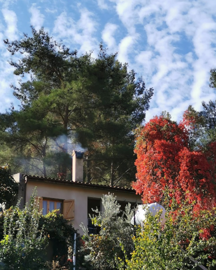 ef919b52-9ce7-4661-8ff8-7ac65df0509b