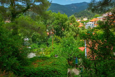 560b5a1e-881d-42be-9b70-2a015c112641