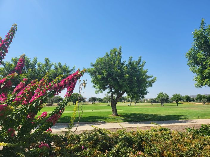 Image No.3-3 Bed House for sale