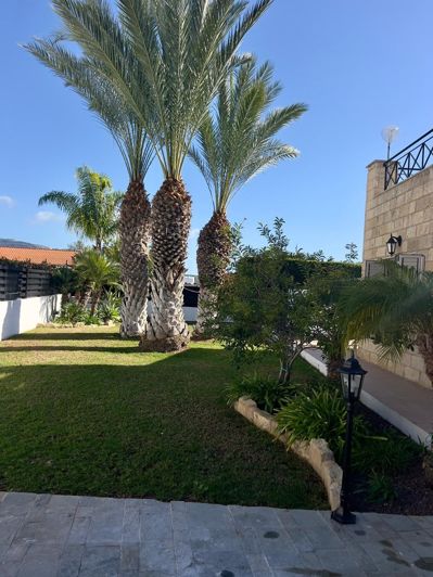 Image No.21-Maison de 3 chambres à vendre à Peyia