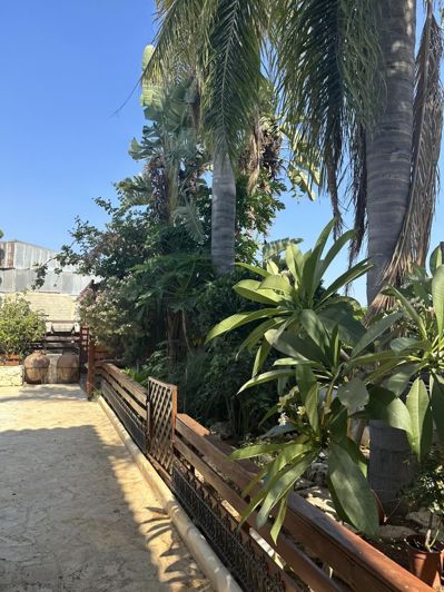 Image No.10-3 Bed House for sale