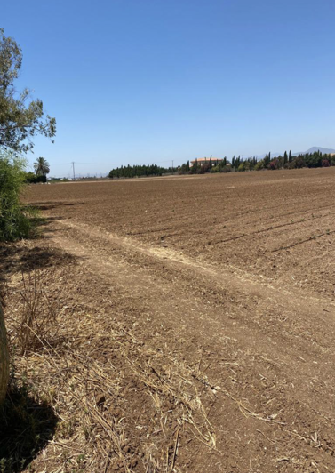 Image No.3-Land for sale