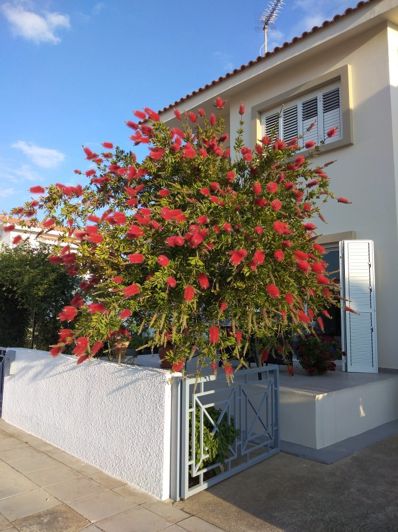 Image No.13-Maison de 2 chambres à vendre à Larnaca