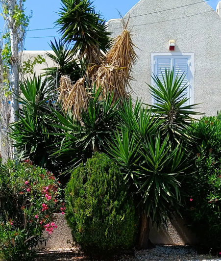 Image No.15-Maison de 3 chambres à vendre à Universal