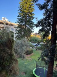 29f25233-e553-4504-bbe0-f550cf57283c