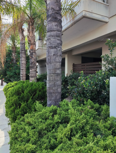 Image No.13-Penthouse de 1 chambre à vendre à Agia Zoni