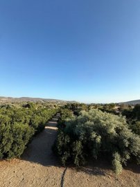 49141498-fb68-4ddc-9b33-16708dc2b760