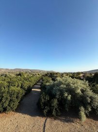 b332adab-580f-464a-8c9f-f341c26e44de