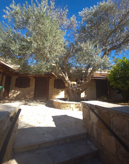 Image No.11-3 Bed House for sale