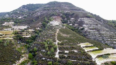 91264d3d-f034-4b88-9516-91bc5bfcbb37